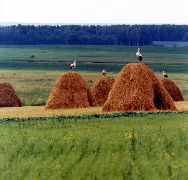 Radreise nach Lettland